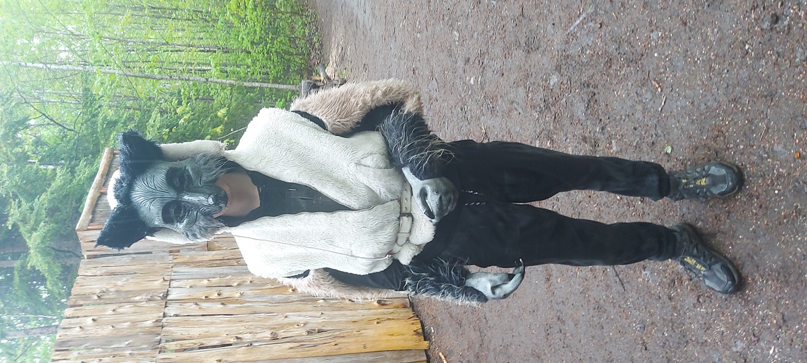 Photo vers�bock